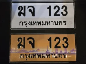 ทะเบียนประมูล คืออะไร? ป้ายกราฟิกต่างจากป้ายขาวดำอย่างไร
