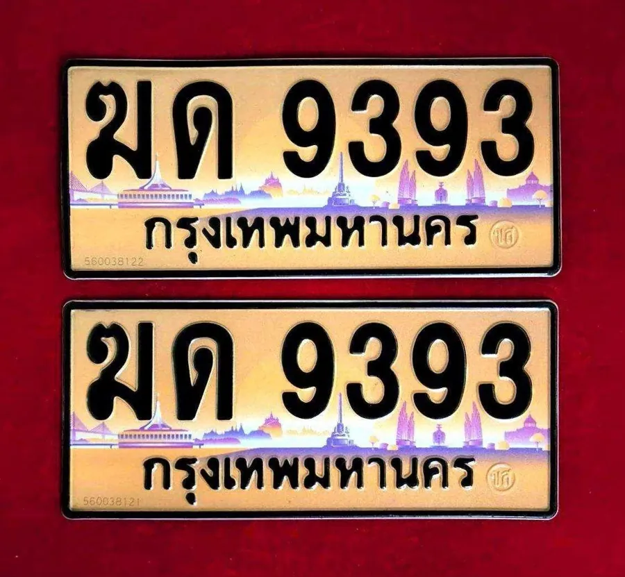 ทะเบียน ฆด 9393 กรุงเทพมหานคร
