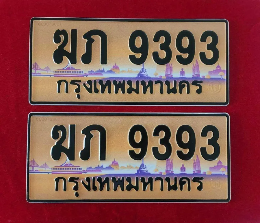 ทะเบียน ฆภ 9393 กรุงเทพมหานคร